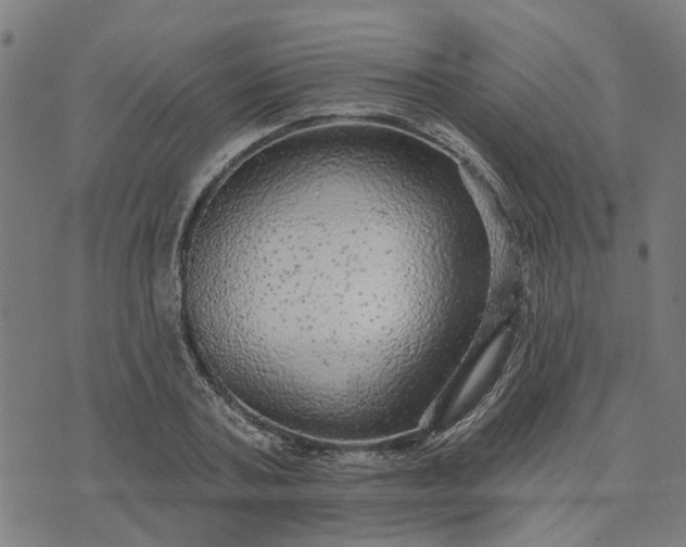 X0000076080787200610061615