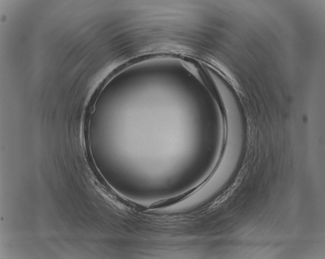 X0000076080788200610061615