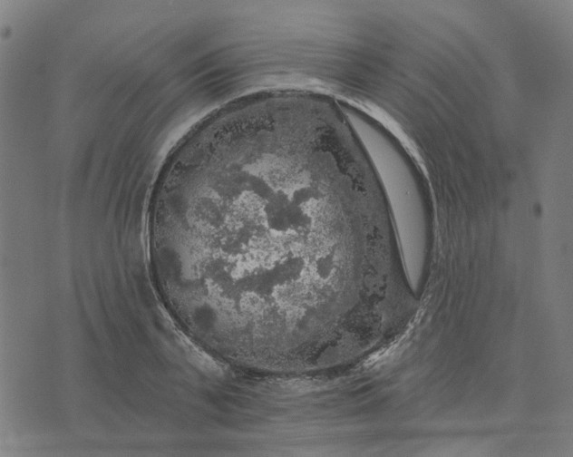 X0000076080791200610061615