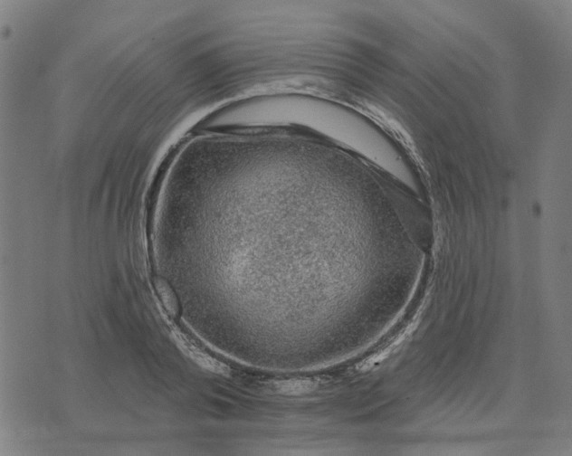 X0000076080792200610061615