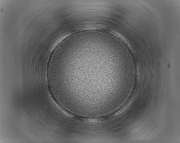 X0000076080794200610061615