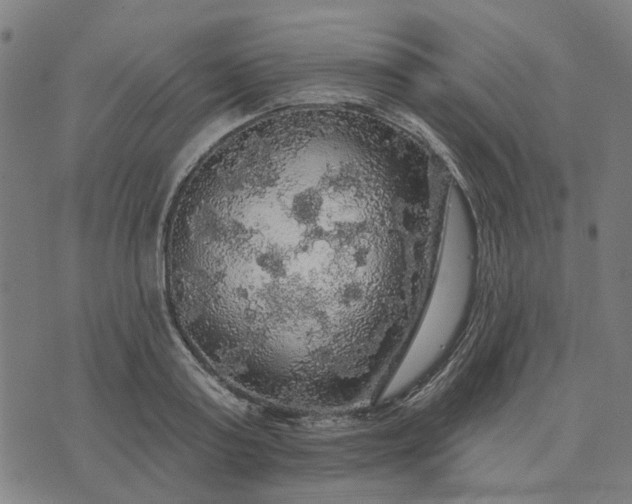 X0000076080795200610061615