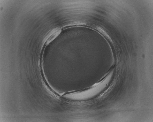 X0000076080797200610061615