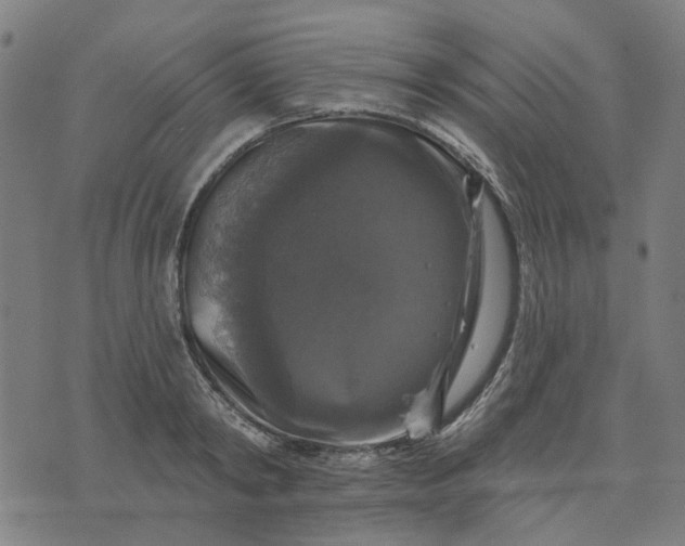 X0000076080798200610061615