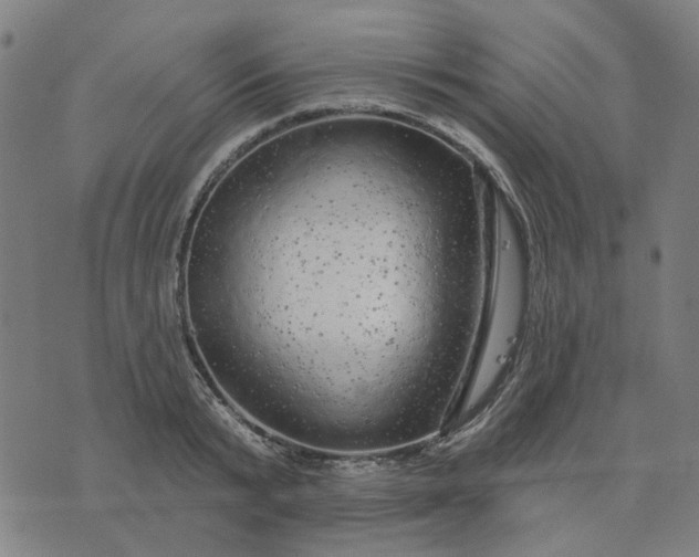 X0000076080799200610061615