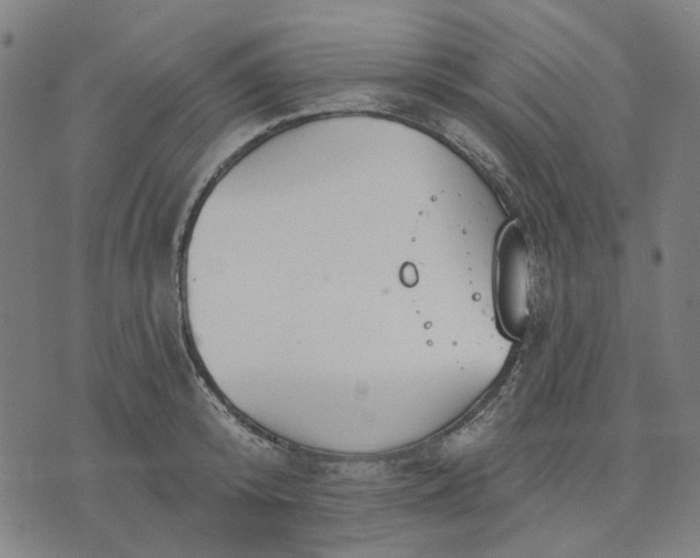 X0000076080800200610061615