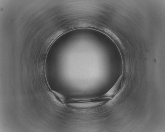 X0000076080801200610061614