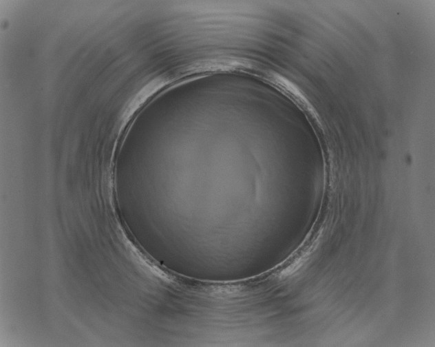 X0000076080802200610061614