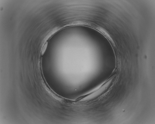 X0000076080805200610061614