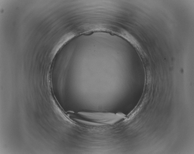 X0000076080806200610061614