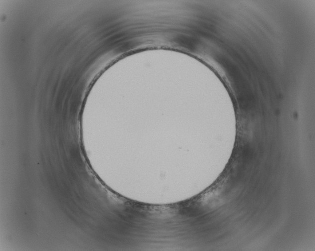 X0000076080807200610061614