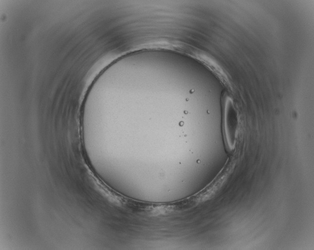 X0000076080808200610061614