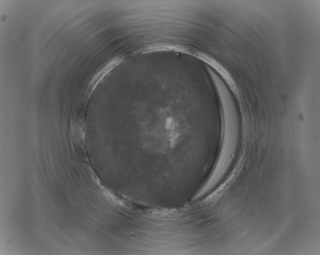 X0000076080809200610061614