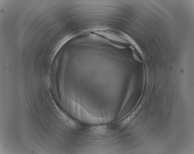 X0000076080810200610061614