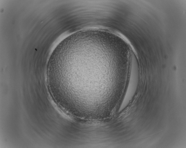 X0000076080811200610061614