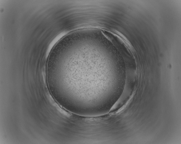 X0000076080812200610061614