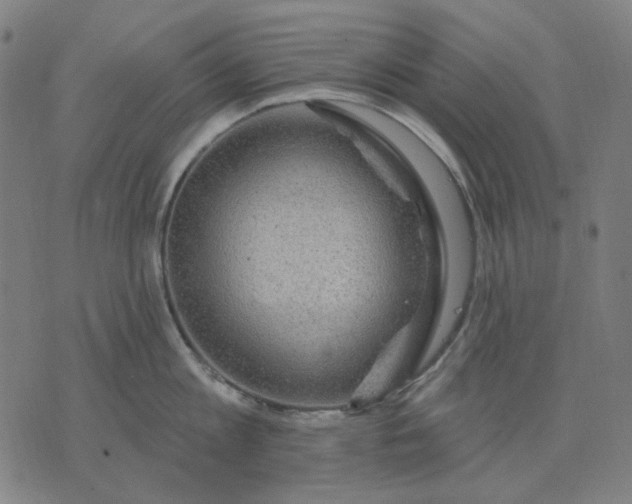 X0000076080813200610061614