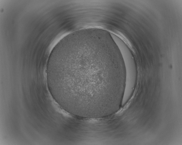 X0000076080814200610061614