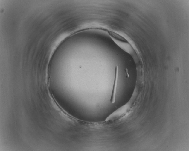 X0000076080815200610061614