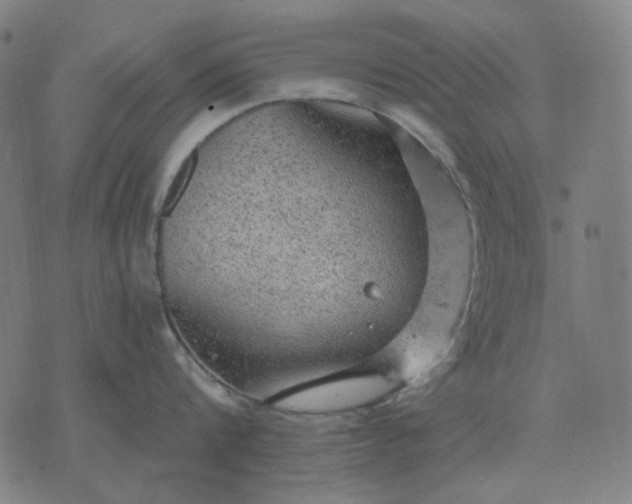 X0000076080816200610061614