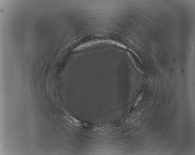 X0000076080817200610061613