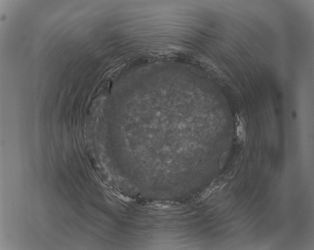 X0000076080819200610061613