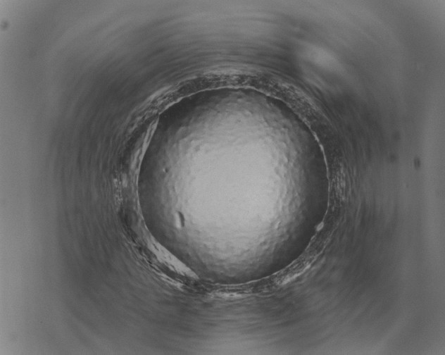 X0000076080821200610061614