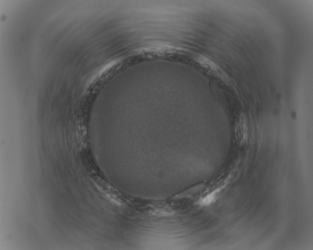 X0000076080822200610061614