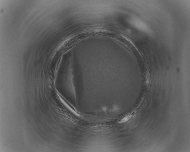 X0000076080823200610061614