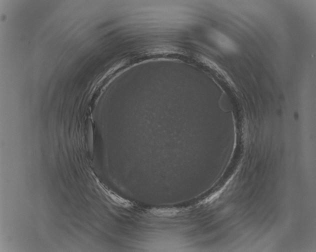 X0000076080825200610061614