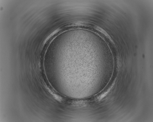 X0000076080826200610061614