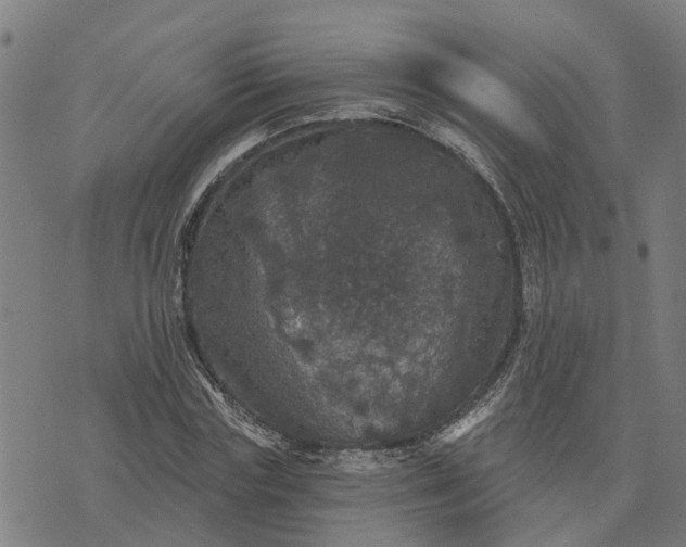 X0000076080827200610061614