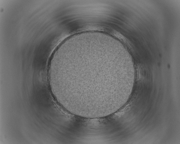 X0000076080828200610061614