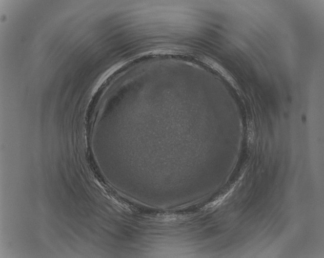 X0000076080829200610061614