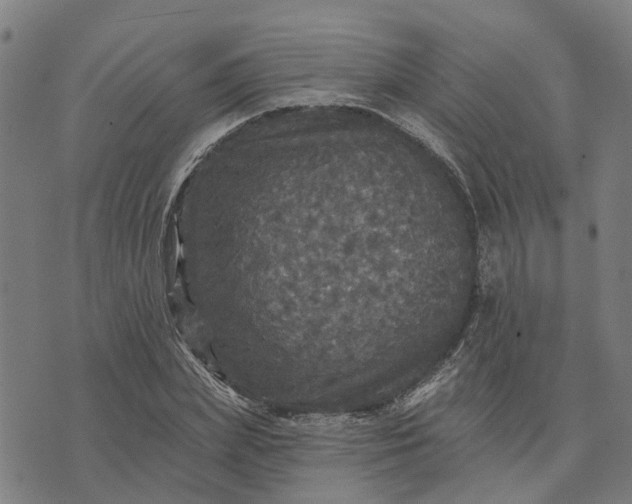 X0000076080831200610061614