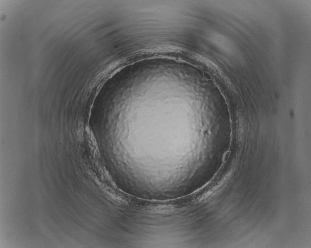 X0000076080833200610061614