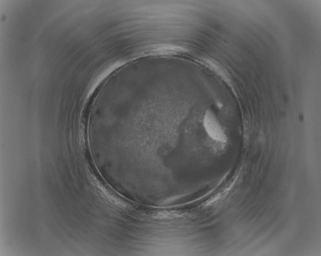 X0000076080835200610061614