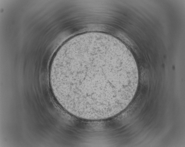 X0000076080836200610061614