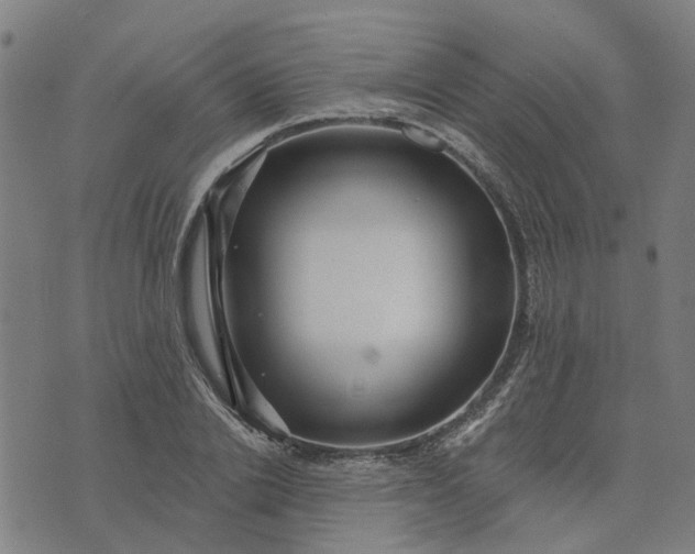 X0000076080838200610061614