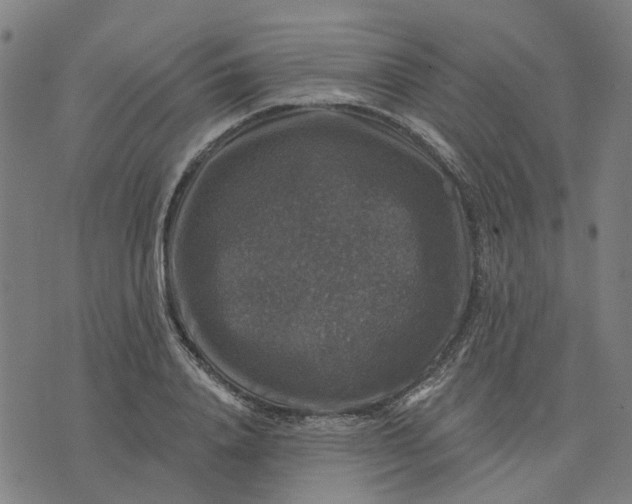 X0000076080840200610061614