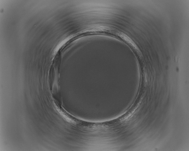 X0000076080842200610061614