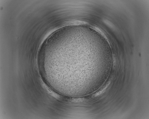 X0000076080843200610061614