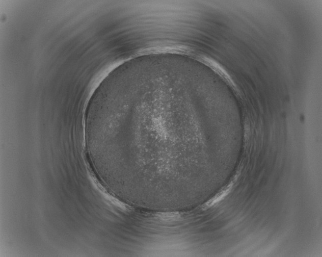 X0000076080844200610061614