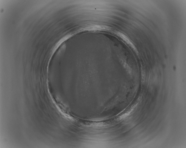 X0000076080845200610061614