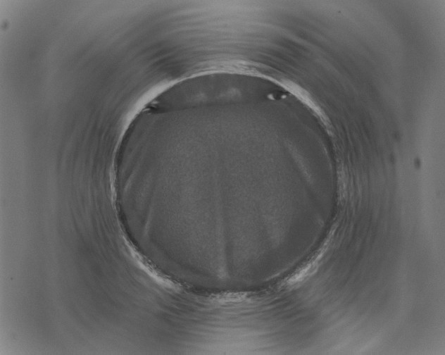 X0000076080846200610061614