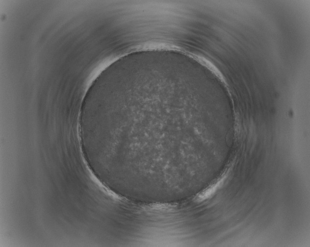 X0000076080847200610061614