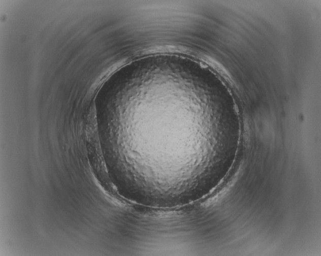 X0000076080849200610061614