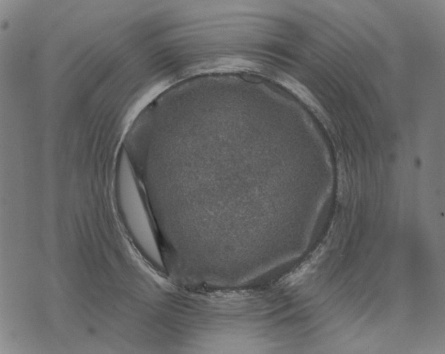 X0000076080850200610061614