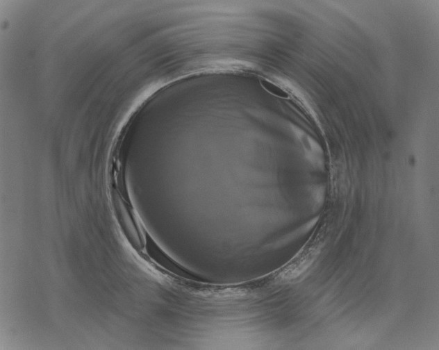 X0000076080851200610061614