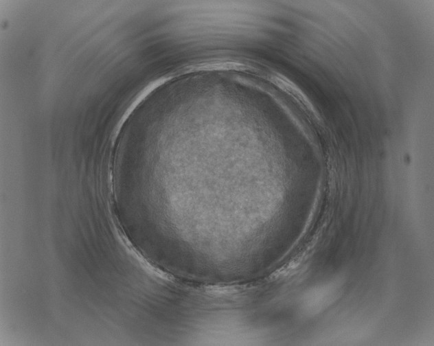 X0000076080852200610061614